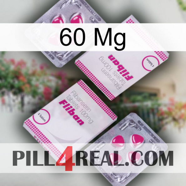 60 Mg 33
